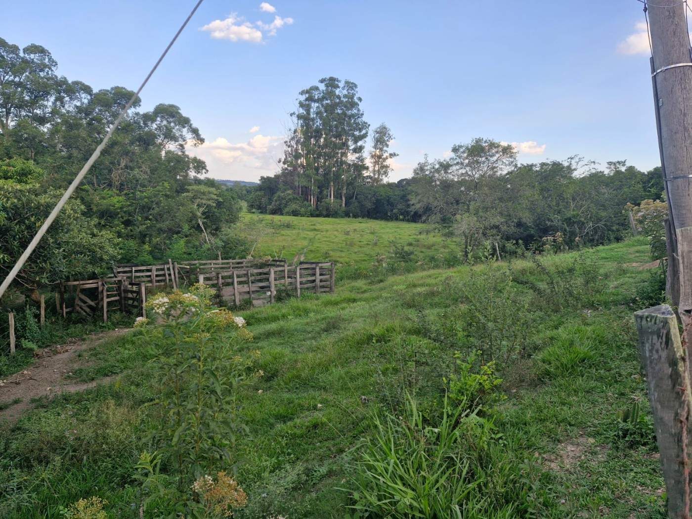 Fazenda, 3 m² - Foto 2