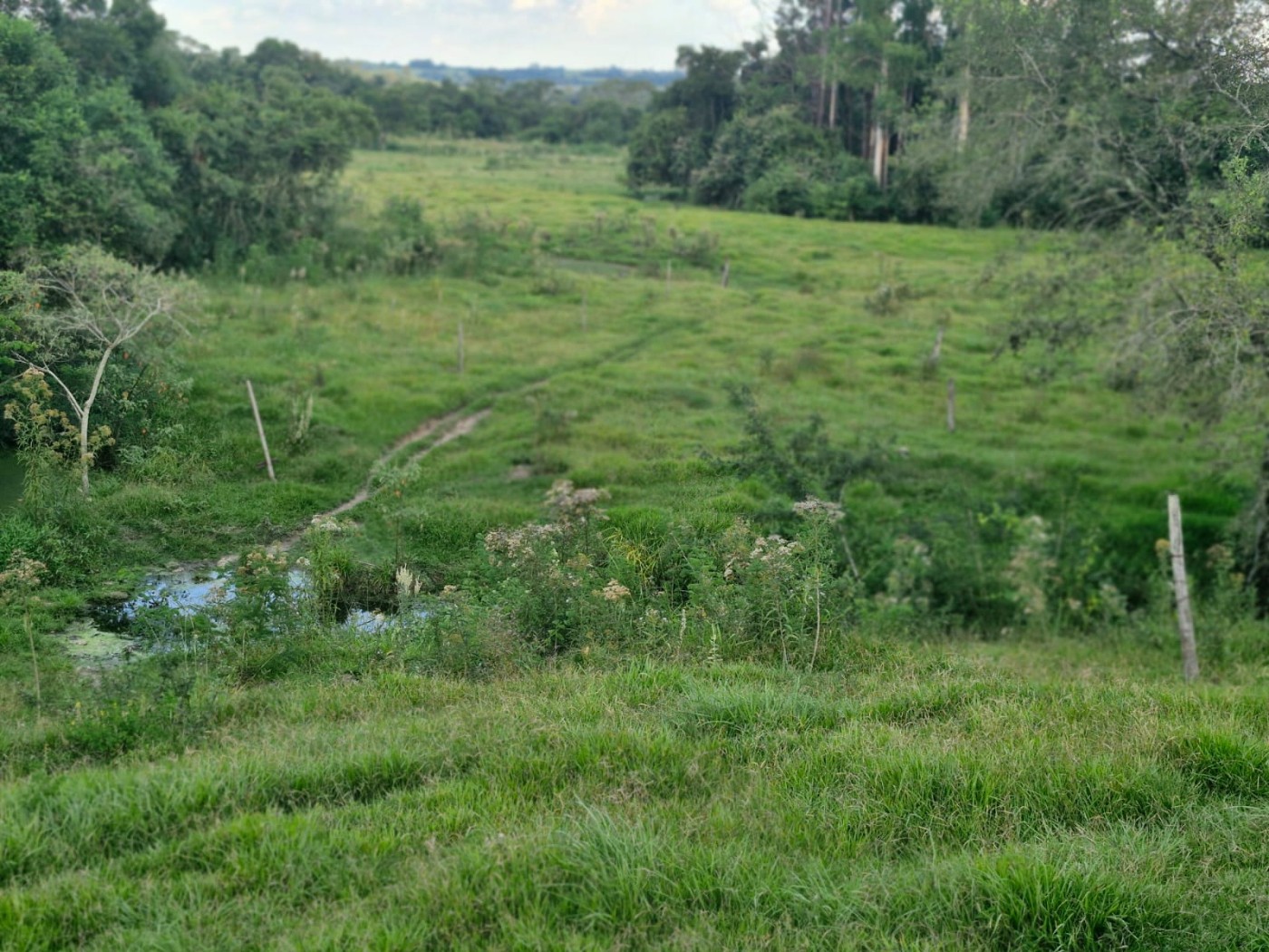 Fazenda, 3 m² - Foto 5