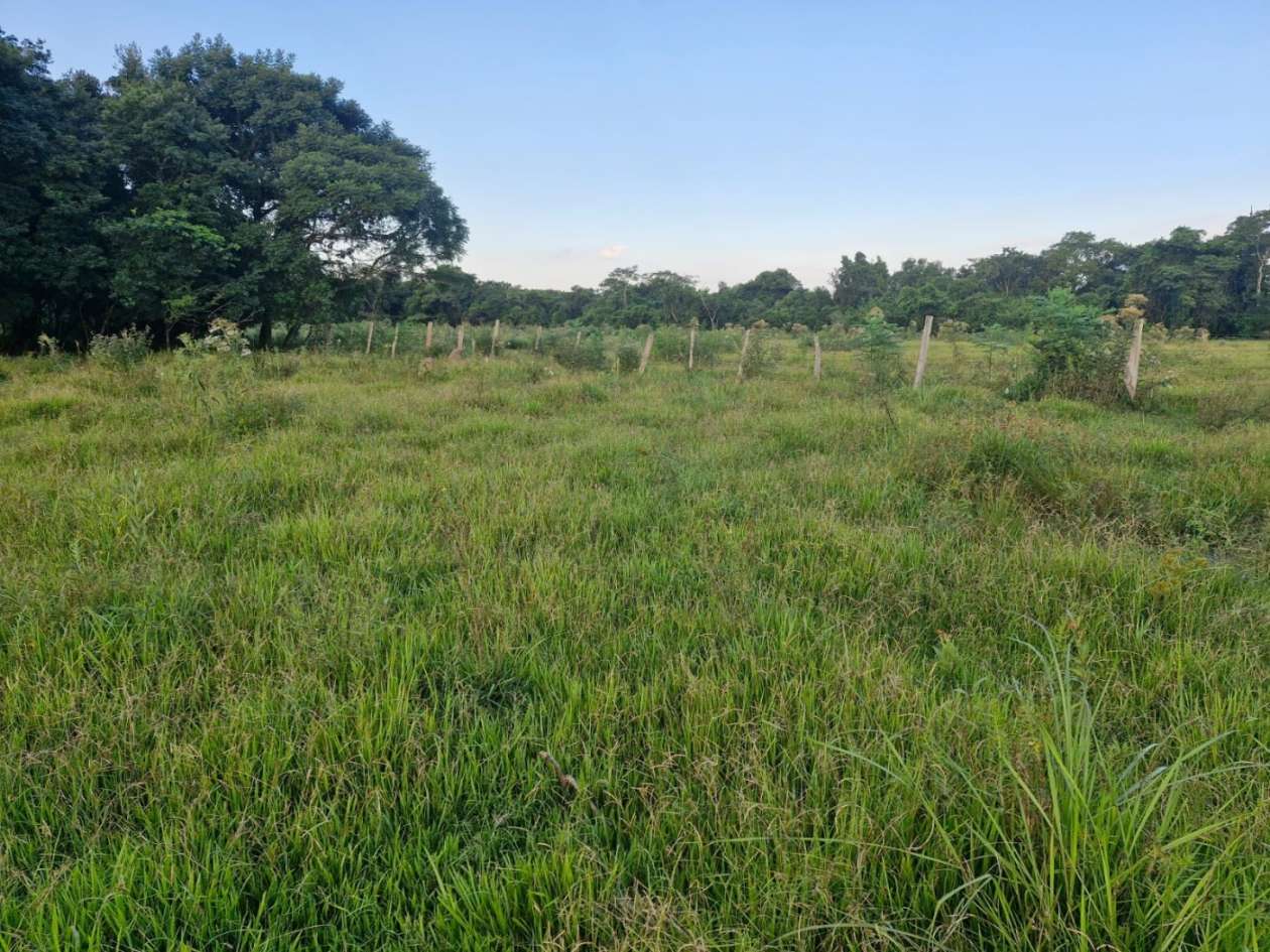 Fazenda, 3 m² - Foto 9
