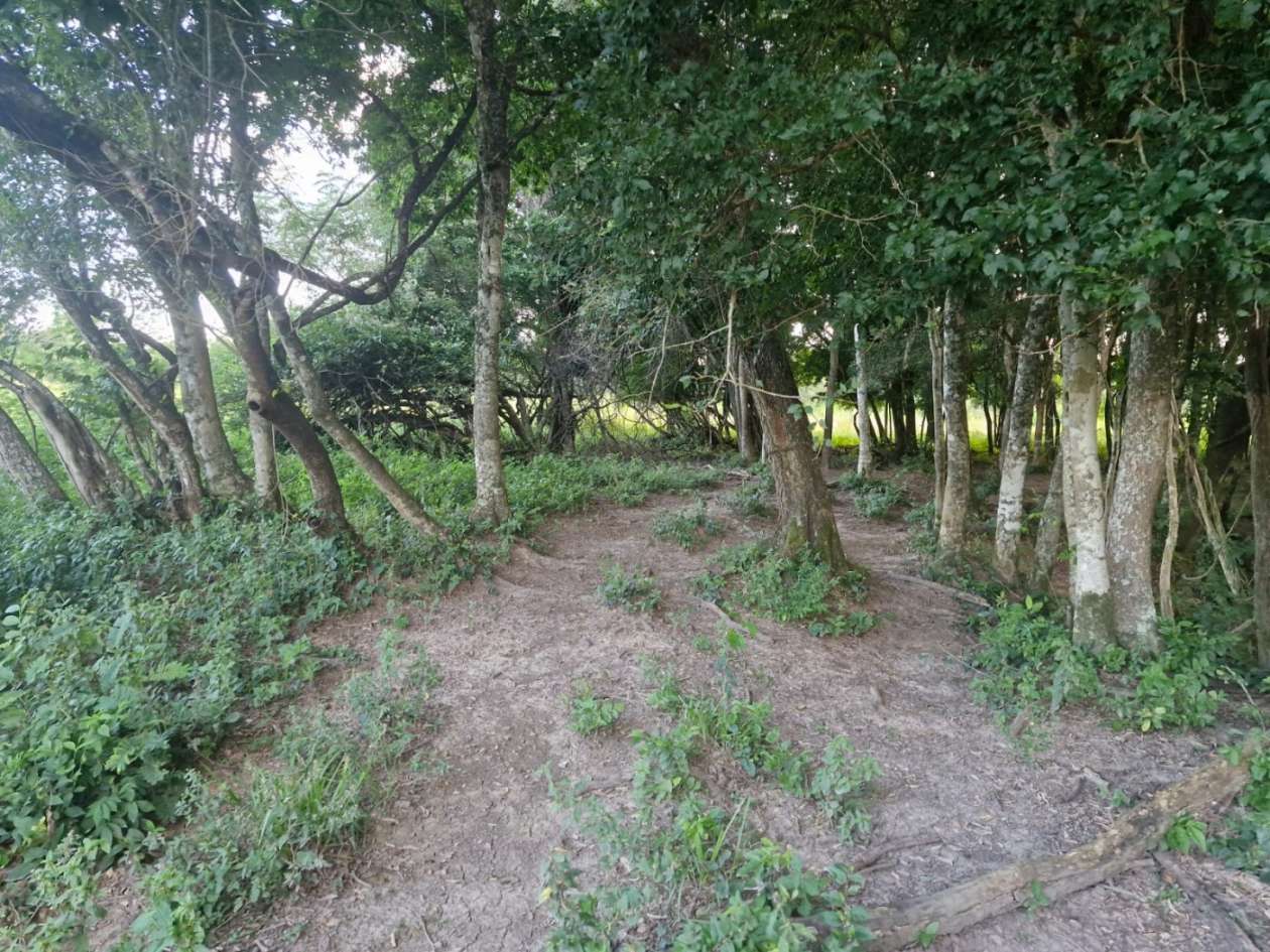 Fazenda, 3 m² - Foto 8