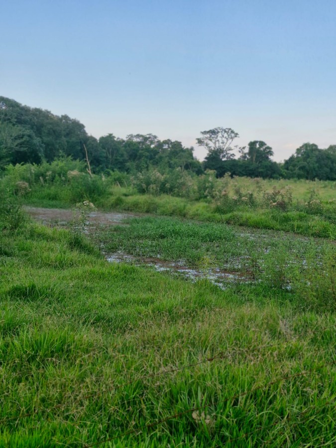 Fazenda, 3 m² - Foto 6