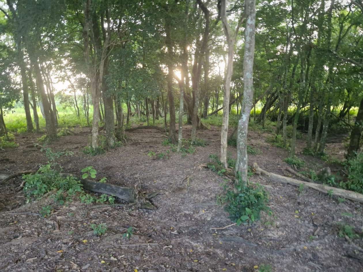 Fazenda, 3 m² - Foto 12