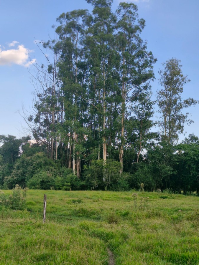 Fazenda, 3 m² - Foto 11