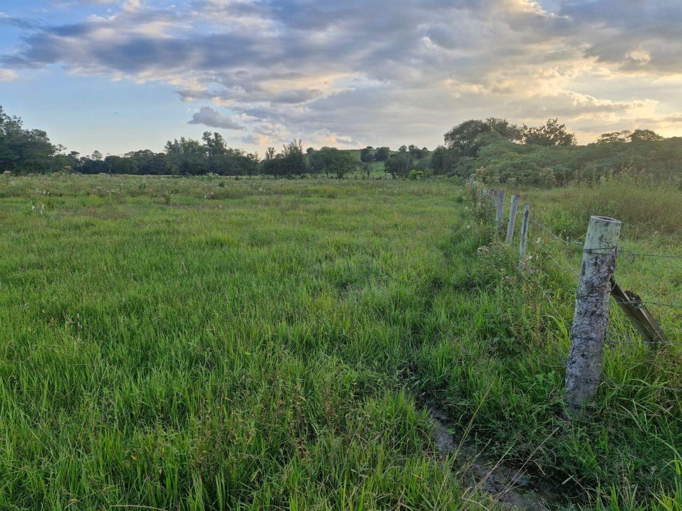 Fazenda, 3 m² - Foto 14