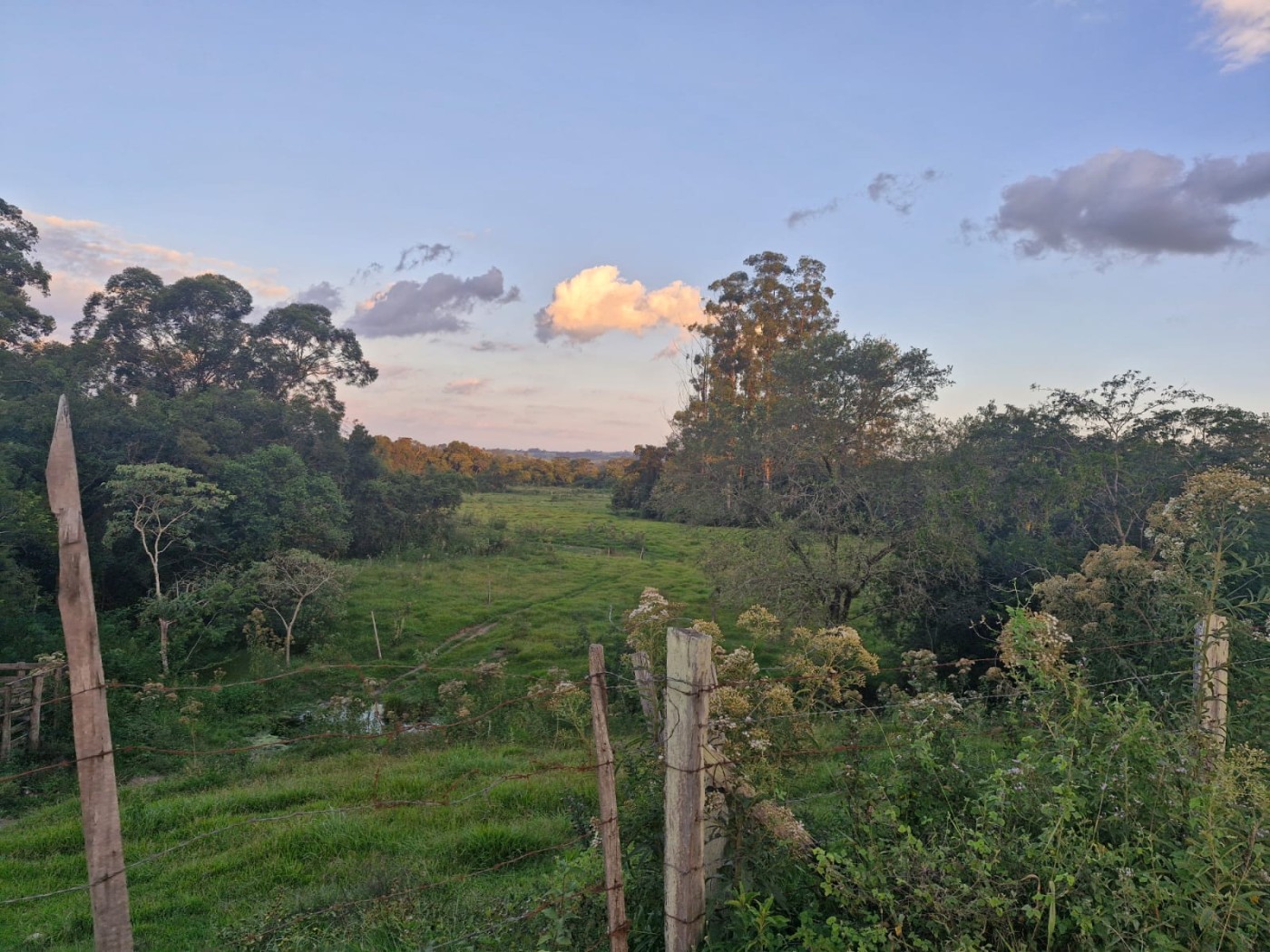 Fazenda, 3 m² - Foto 7