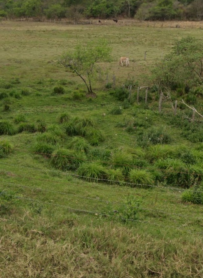 Fazenda, 3 m² - Foto 16