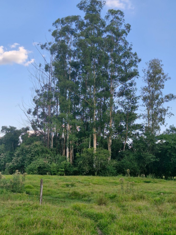 Fazenda, 3 m² - Foto 19