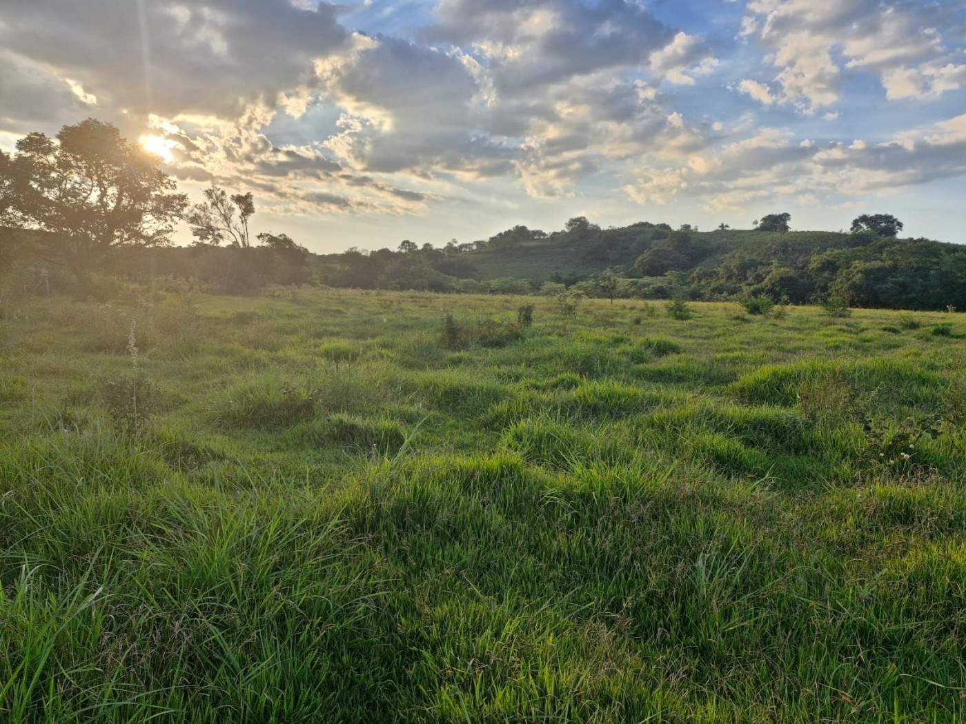 Fazenda, 3 m² - Foto 1