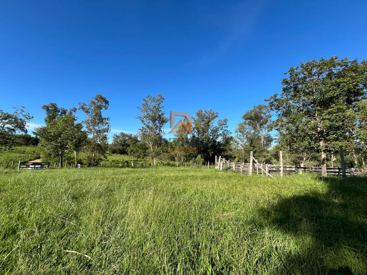 Fazenda, 3 m² - Foto 5
